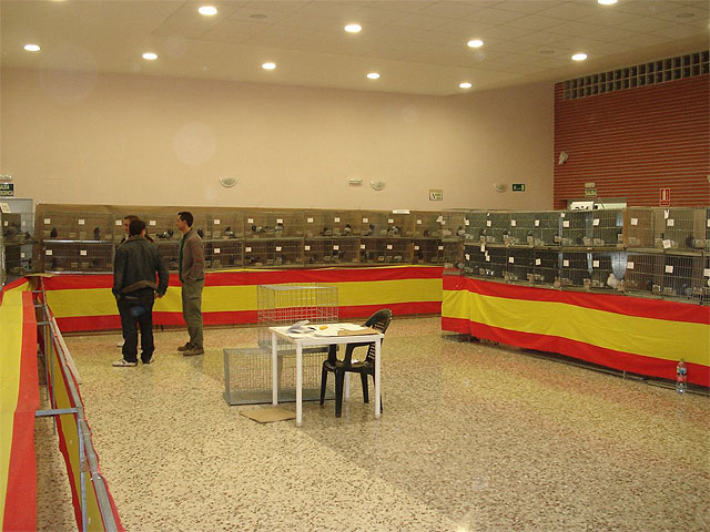 300 palomas compitieron en la VIII Exposición de Raza en las Lomas de El Albujón - 2, Foto 2