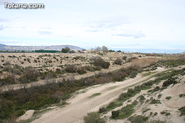 La Confederacin Hidrogrfica del Segura limpia y adecua la mota del ro Guadalentn - 10