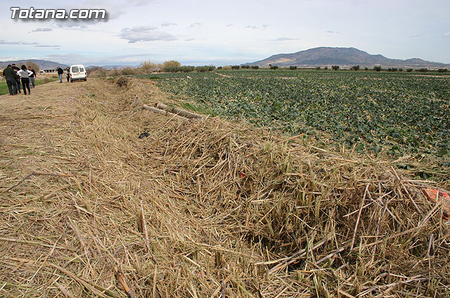 La Confederacin Hidrogrfica del Segura limpia y adecua la mota del ro Guadalentn - 6