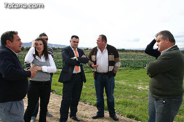 La Confederacin Hidrogrfica del Segura limpia y adecua la mota del ro Guadalentn - 9