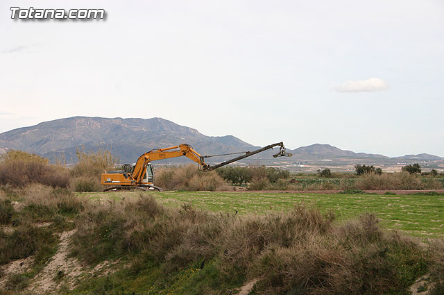 La Confederacin Hidrogrfica del Segura limpia y adecua la mota del ro Guadalentn - 11