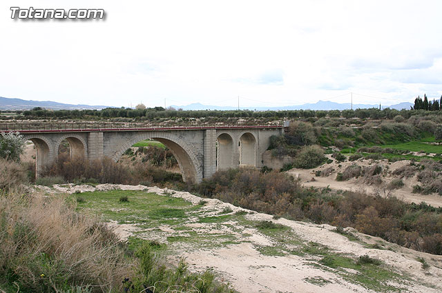 La Confederacin Hidrogrfica del Segura limpia y adecua la mota del ro Guadalentn - 13