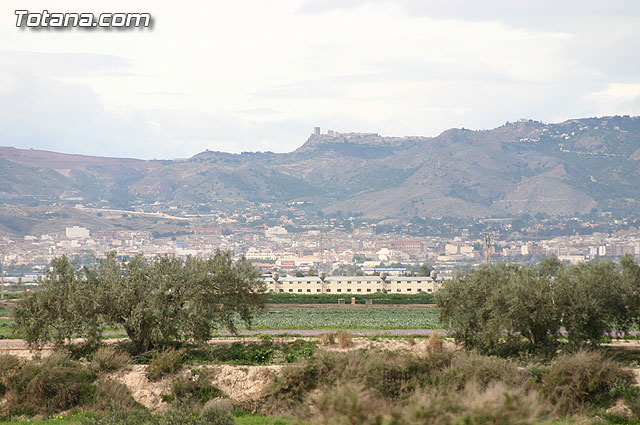 La Confederacin Hidrogrfica del Segura limpia y adecua la mota del ro Guadalentn - 19