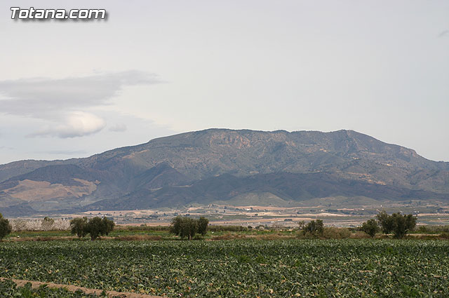 La Confederacin Hidrogrfica del Segura limpia y adecua la mota del ro Guadalentn - 21