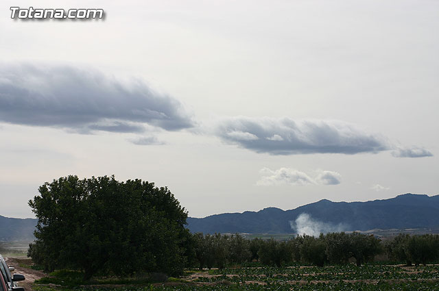 La Confederacin Hidrogrfica del Segura limpia y adecua la mota del ro Guadalentn - 23
