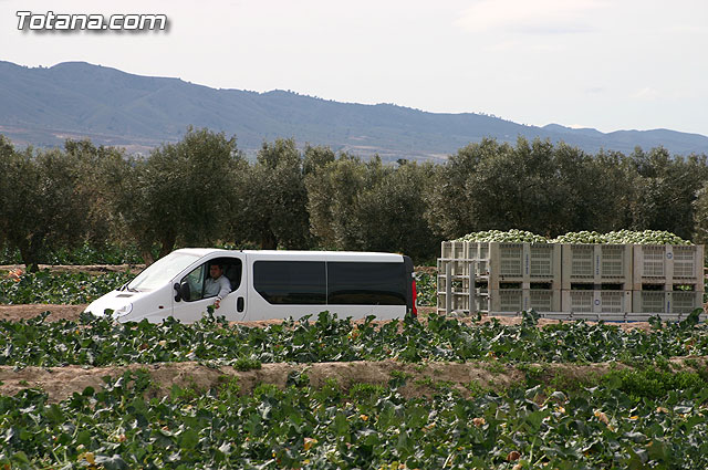 La Confederacin Hidrogrfica del Segura limpia y adecua la mota del ro Guadalentn - 24