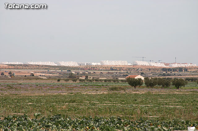 La Confederacin Hidrogrfica del Segura limpia y adecua la mota del ro Guadalentn - 27