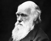 La Concejalía de Cultura celebra el 200 aniversario del nacimiento de Darwin con una charla y una exposición