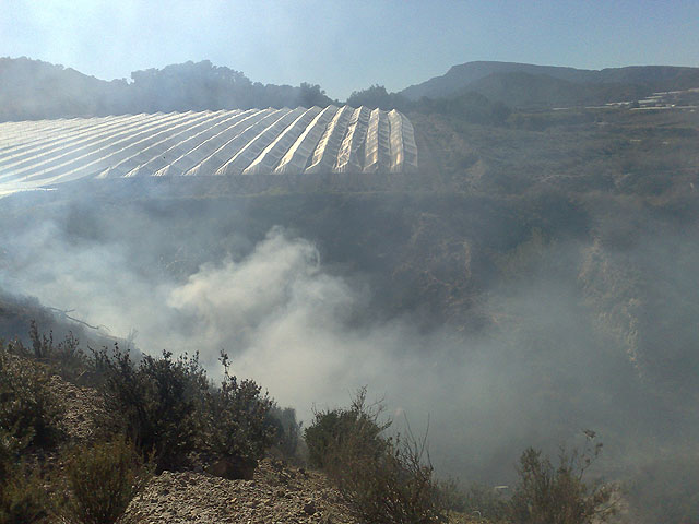 Sofocan un incendio en la zona de Los Secanos, Foto 1