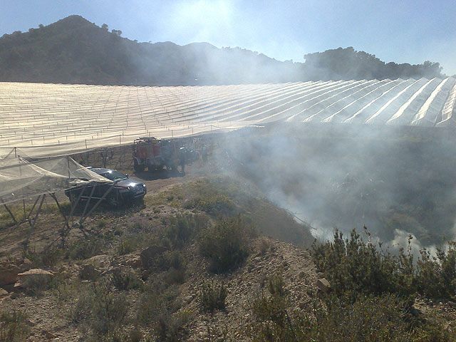 Sofocan un incendio en la zona de Los Secanos - 2, Foto 2