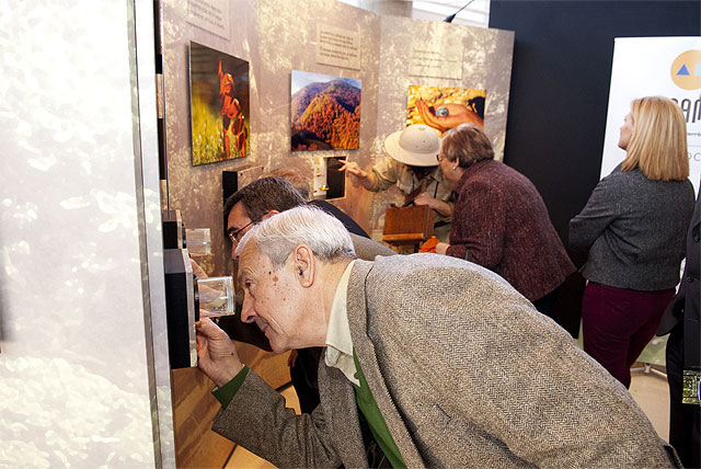 El bosque interior, un viaje a la naturaleza y a la sabiduría de los bosques - 1, Foto 1