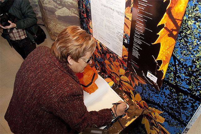 El bosque interior, un viaje a la naturaleza y a la sabiduría de los bosques - 2, Foto 2