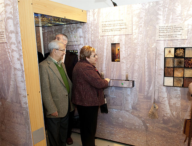 El bosque interior, un viaje a la naturaleza y a la sabiduría de los bosques - 4, Foto 4