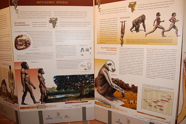 Con una charla y una exposición, Jumilla homenajea a Charles Darwin en el 200 aniversario de su nacimiento - 1, Foto 1