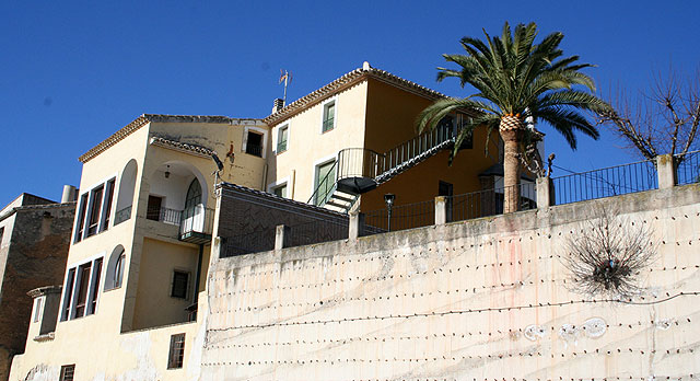 El Ayuntamiento limpia todas las palmeras de los espacios públicos - 1, Foto 1