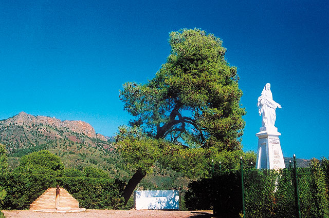 Reforestarán una hectárea en el paraje del monte de la Virgen Blanca, Foto 1