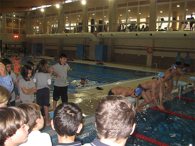 El programa ADE se acerca por primera vez a la natación - 2, Foto 2