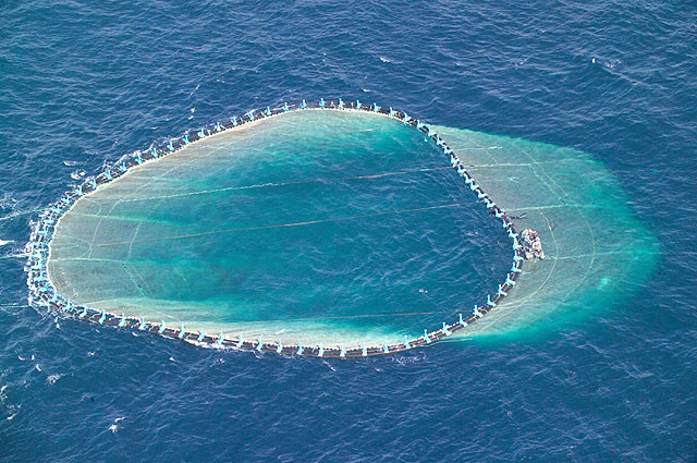 En cumplimiento de las cuotas de pesca, se libera por vez primera el exceso de atún rojo enjaulado en la Región de Murcia - 3, Foto 3