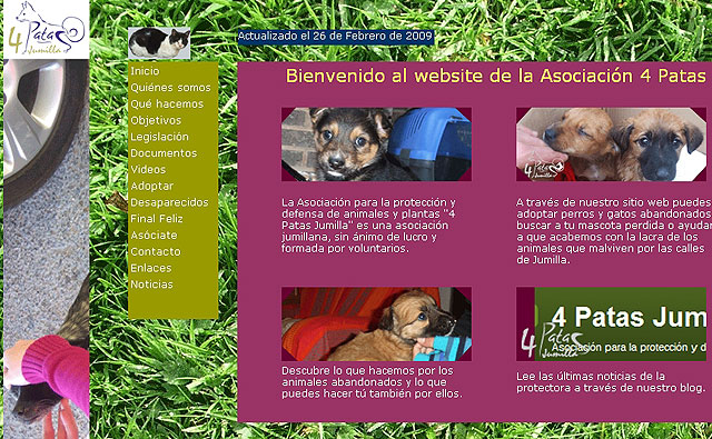 4 Patas estrena web para facilitar la adopción de los animales abandonados - 1, Foto 1