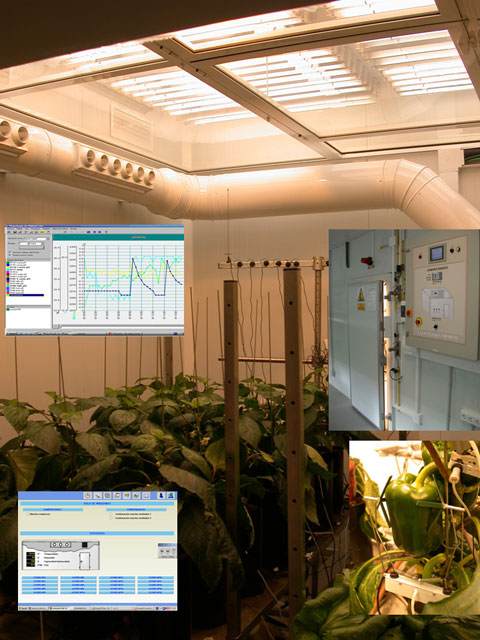 Agricultura estudia nuevas metodologías de selección vegetal frente al cambio climático - 2, Foto 2