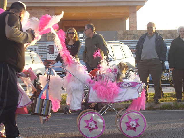 Santiago de la Ribera despidió ayer sus fiestas de Carnaval con el mayor desfile de su historia - 3, Foto 3
