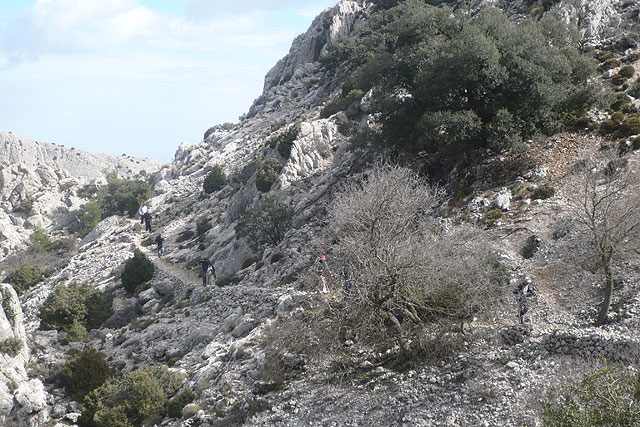 Ms de una veintena de senderistas realizaron el pasado domingo la senda del Caracol - 14