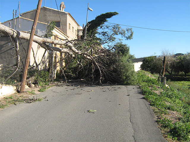 La Dirección General de Emergencias de la Región de Murcia activa la alerta naranja por vientos - 1, Foto 1