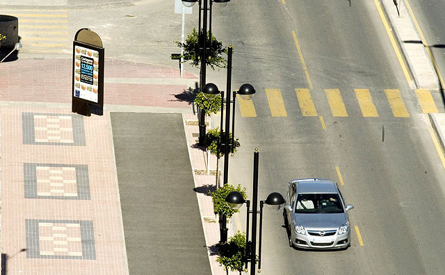 Parques y Jardines sustituirá los chopos de Ángel Bruna por ficus de bola - 2, Foto 2