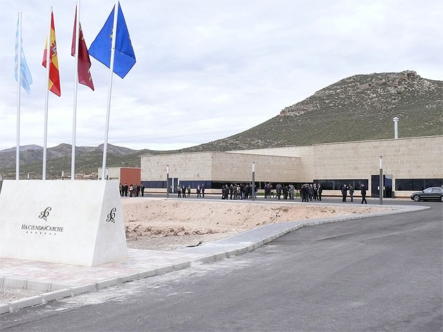 Los participantes en la media maratón tendrán la oportunidad de visitar varias bodegas de Jumilla - 1, Foto 1