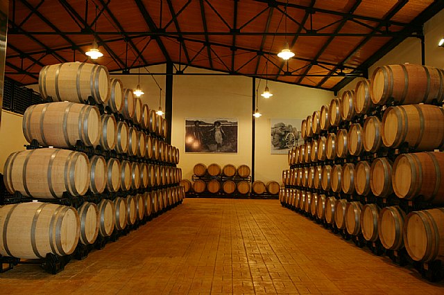 Los participantes en la media maratón tendrán la oportunidad de visitar varias bodegas de Jumilla - 2, Foto 2