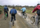 'Deportes' organiza la I Ruta Cicloturista por las Pedanas