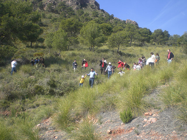 Día Forestal Mundial, Foto 1