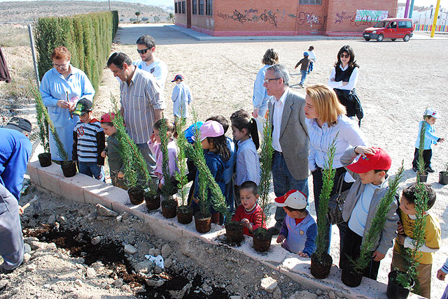Reforestación de árboles en el colegio San José Artesano - 2, Foto 2