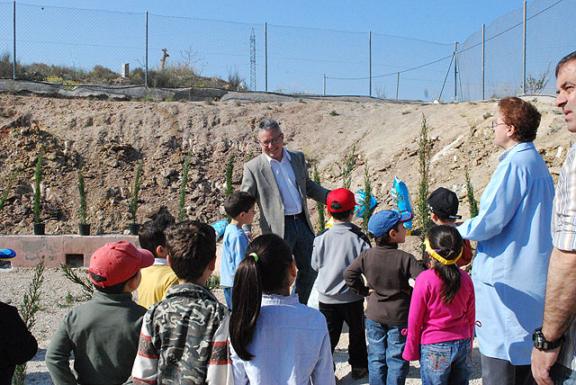 Reforestación de árboles en el colegio San José Artesano - 4, Foto 4