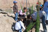 Reforestacin de rboles en el colegio San Jos Artesano