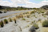 Comienza el acondicionamiento de la carretera que une Mazarrn con la pedana lorquina de Morata