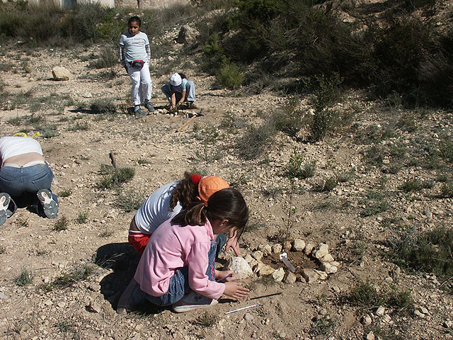 La Concejalía de Medio Ambiente de Molina de Segura y varias entidades y asociaciones han organizado plantaciones de árboles en distintas zonas del municipio con motivo de la celebración del Día Mundial Forestal - 1, Foto 1