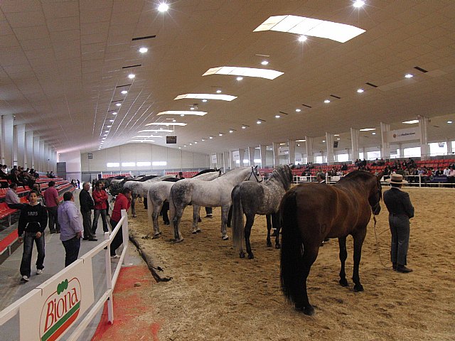 Equimur se convierte en punto de encuentro de profesionales que acuden a las jornadas técnicas - 1, Foto 1