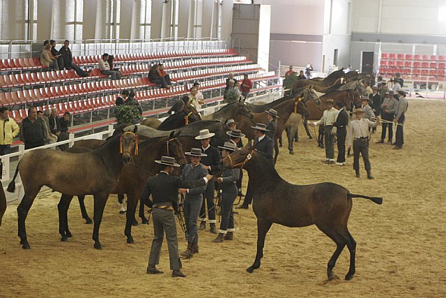 Equimur se convierte en punto de encuentro de profesionales que acuden a las jornadas técnicas - 2, Foto 2