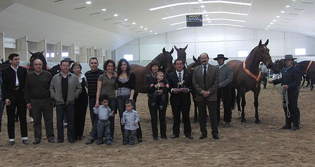 Se clausura EQUIMUR 2009 con la entrega de premios a los mejores caballos - 1, Foto 1