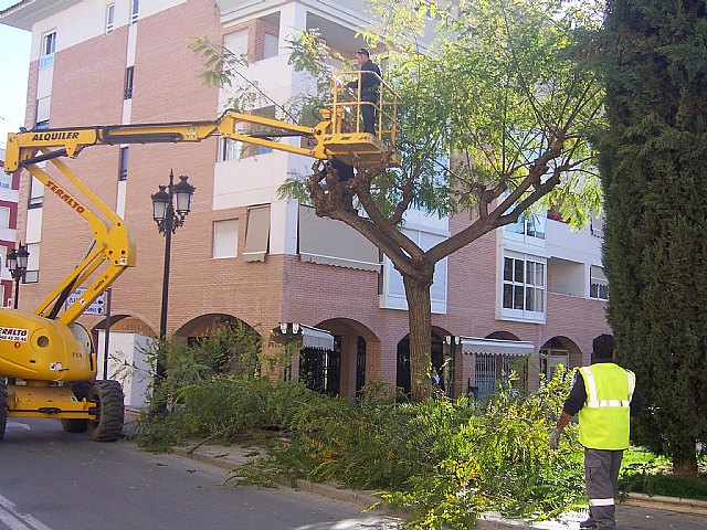 El ayuntamiento pone a punto las principales calles y plazas del casco urbano, Foto 3