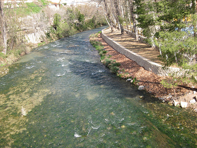 La Asociacin de Amas de Casa y Usuarios 