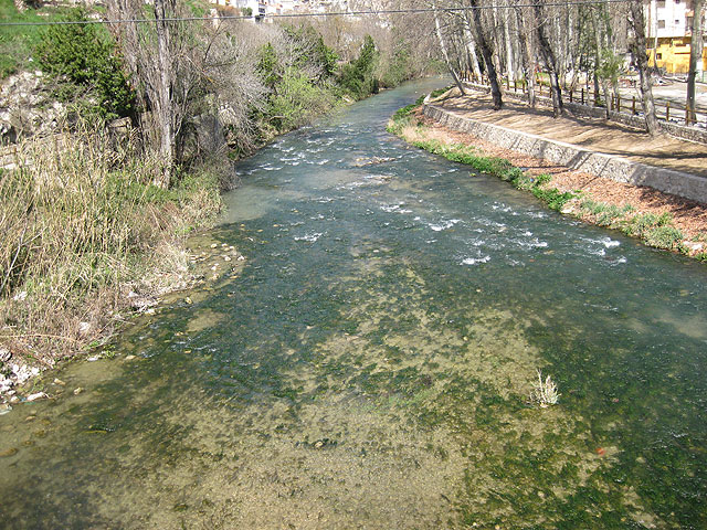La Asociacin de Amas de Casa y Usuarios 