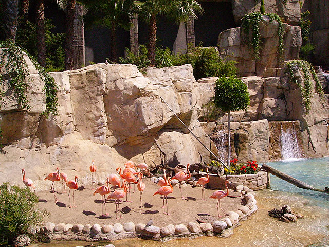 El Centro Municipal de Personas Mayores de Totana continúa realizando su programa de viajes, Foto 1