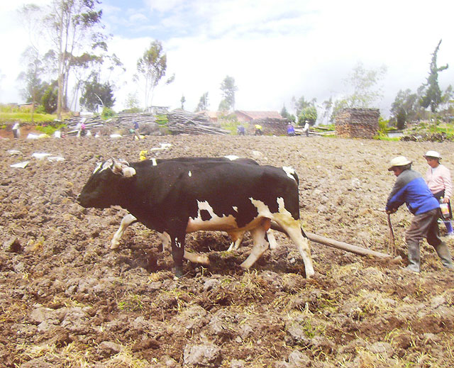 Política Social entrega los premios del concurso de fotografía con motivo de la Semana Intercultural - 2, Foto 2