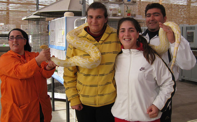 Clausuran una de las acciones formativas del Proyecto “LABOR: Un paso hacia la empleabilidad” - 3