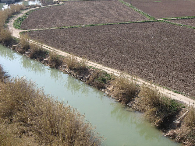 Agricultura finaliza las obras de la zona de pesca ‘El Olivarejo’, que consta de 31 nuevos puestos - 2, Foto 2