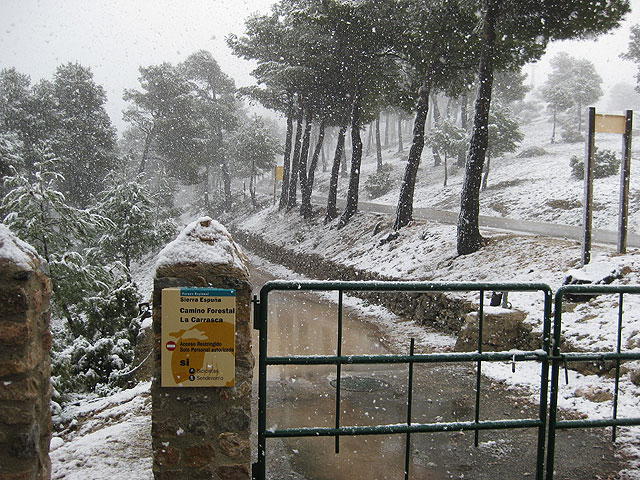La Policía Local realiza varias actuaciones por desperfectos ocasionados por el temporal, que deja en Totana 50 litros por metro cuadrado, Foto 1