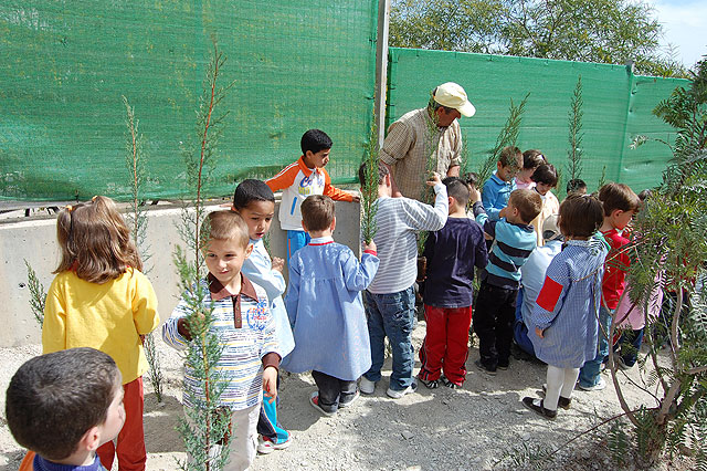 Los escolares ilorcitanos reciben la primavera plantando árboles - 1, Foto 1