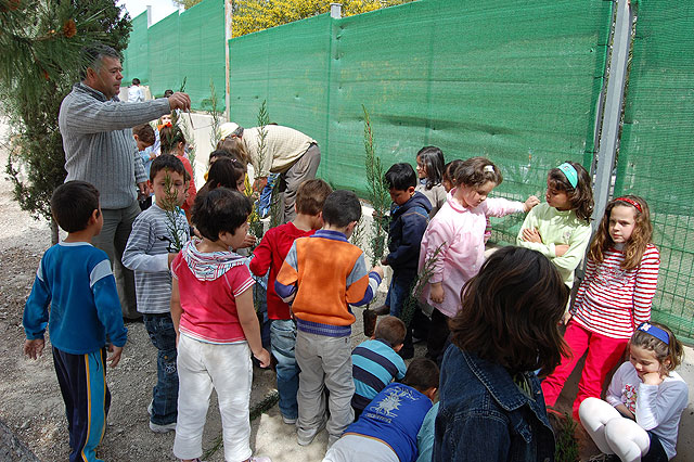 Los escolares ilorcitanos reciben la primavera plantando árboles - 2, Foto 2